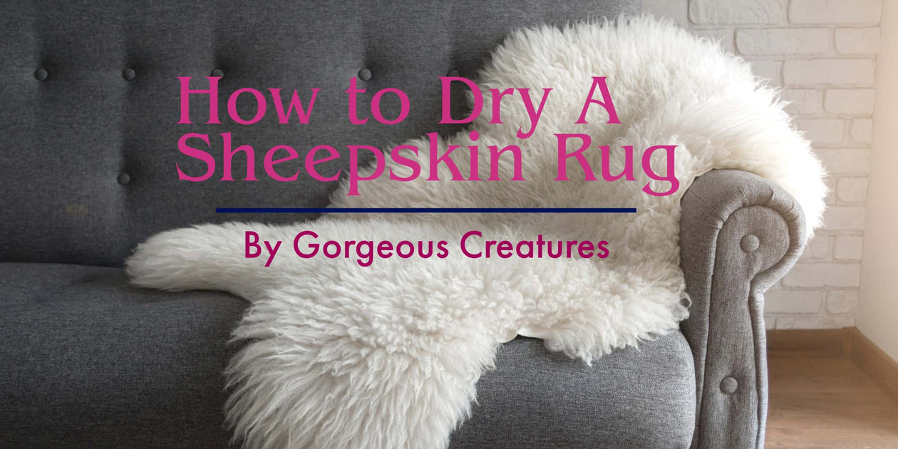 How To Dry A Sheepskin Rug Machine Tumble Drying Sheepskins Gorgeous Creatures