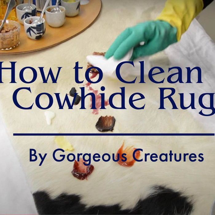How to Clean a Cowhide Rug Video