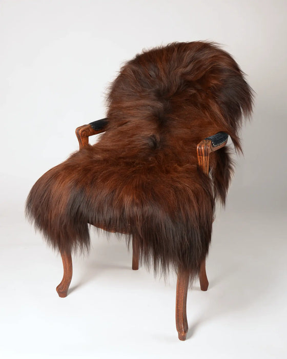 Icelandic Sheepskin #007 - Natural Dark Brown