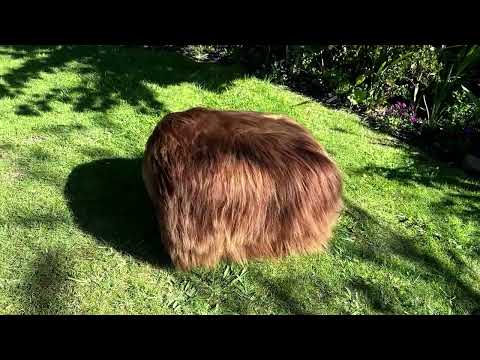 Brown Icelandic sheepskin footstool by Gorgeous Creatures