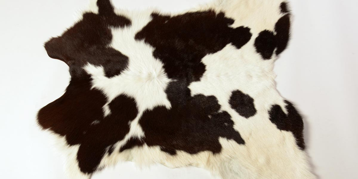 Rugs New Zealand Black & White Calfskin Small Animal Calf Rug — Creatures