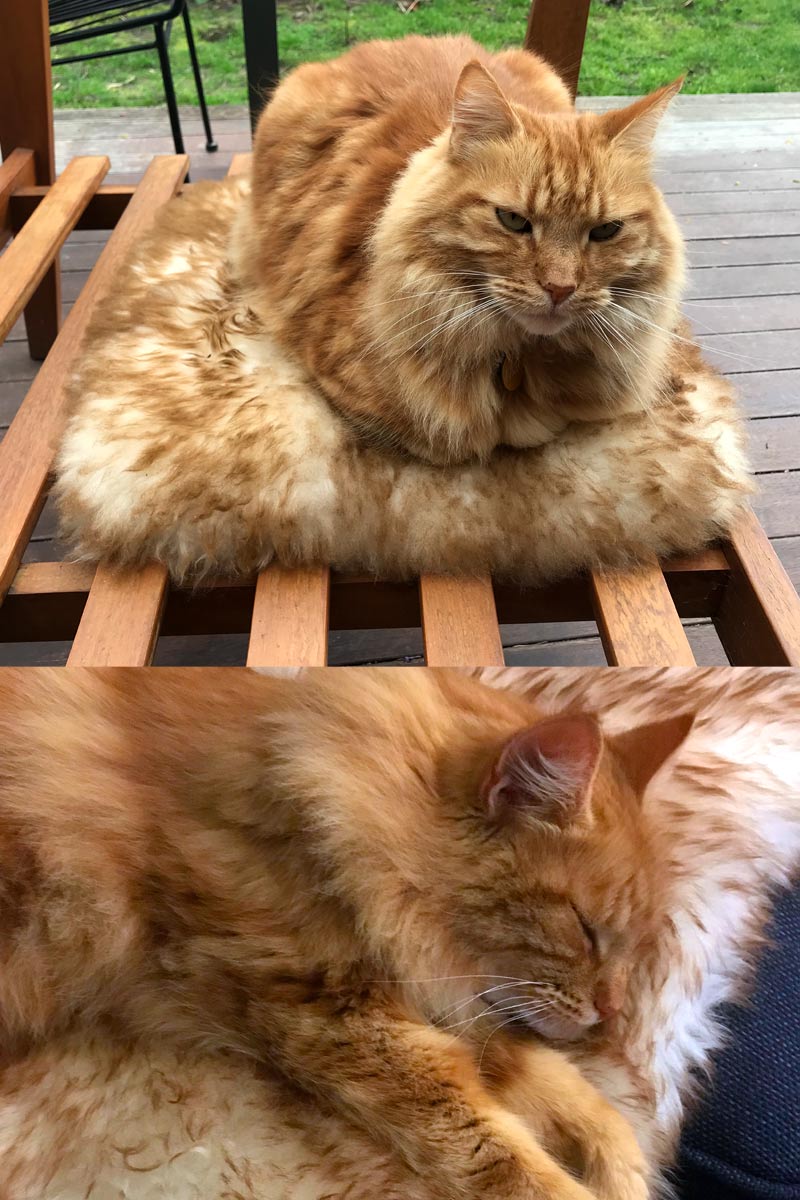 Sheepskin Rug Pet Beds