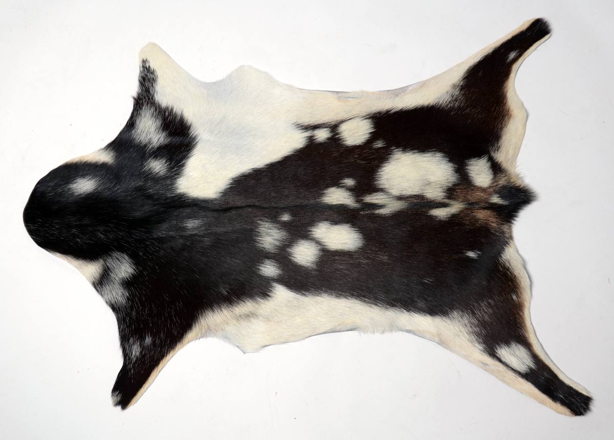 023 Goat Skin Rugs | Black & White Goat Rug — Gorgeous Creatures