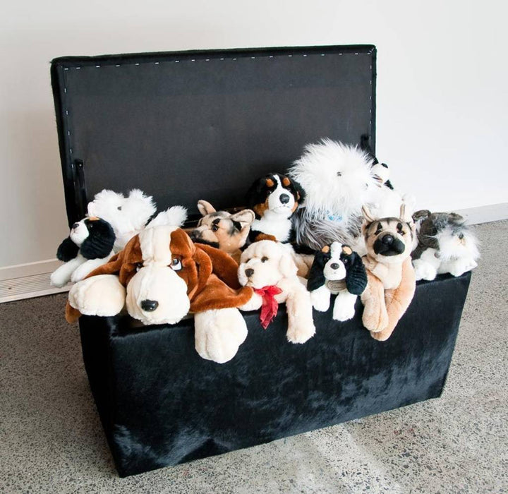 Cowhide storage trunk ottoman furniture NZ made